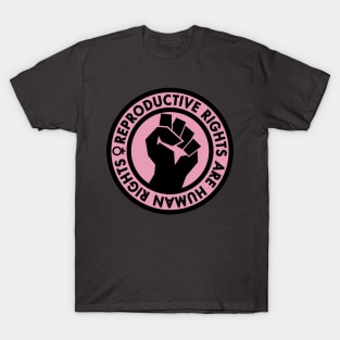 Reproductive Rights are Human Rights (pink) T-Shirt